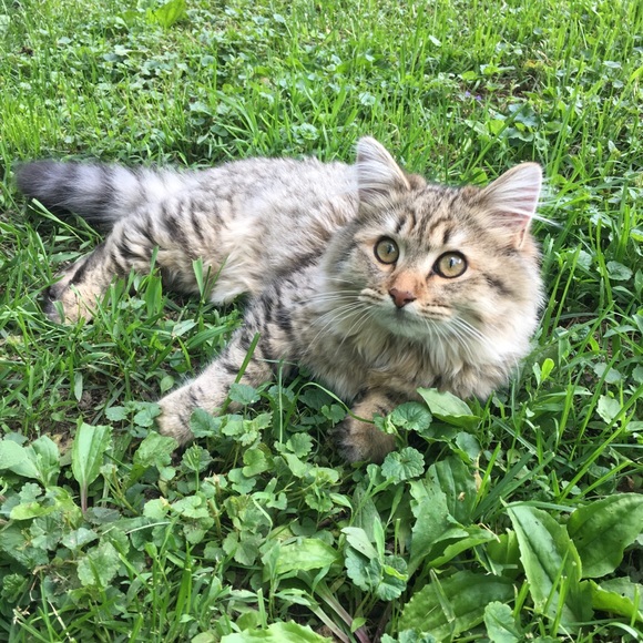 Meet your Posher, Julia - Picture 1 of 6